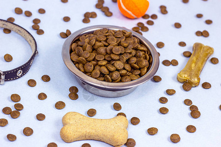 狗吃骨頭與寵物食品 科學的飼養選擇