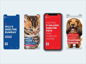 以愛為筆，以食為畫——專訪寵物食品包裝設計師